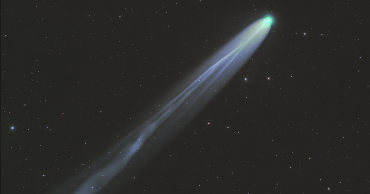 Comet Leonard AUS 2 Telescope Live